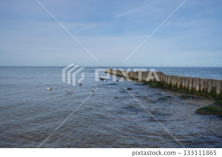 Quiet seascape with gentle waves and a long wooden breakwater stretching into the water. A peaceful coastal scene suitable for themes of travel, nature and relaxation Quiet seascape with gentle waves and a long wooden breakwater stretching into the water. A peaceful coastal scene suitable for themes of travel, nature and relaxation 133111865