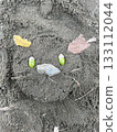 Acorn and leaf face cake made from playing in the sandbox 133112044