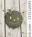 Acorn and leaf face cake made from playing in the sandbox 133112045