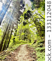 Mountain trail in Rokko 133112048