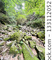 Rocky areas and animal trails on Mt. Rokko 133112052