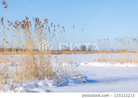 A serene winter landscape photography featuring snow-covered Baltic sea 133112213