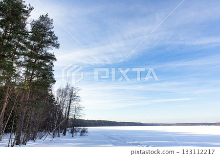 Snowy forest scene with a frozen lake and clear blue sky. Tall pines and bare trees Snowy forest scene with a frozen lake and clear blue sky. Tall pines and bare trees 133112217