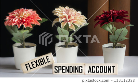 The flexible FSA expense account is shown on the wooden blocks 133112358