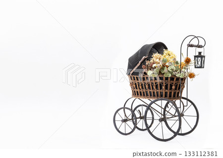 Garden stroller_06 Garden stroller_06 133112381