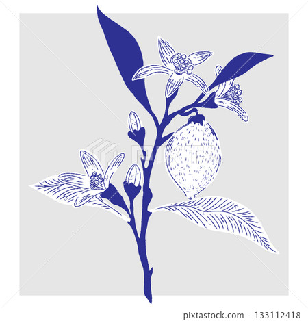 green branch with leaves 133112418