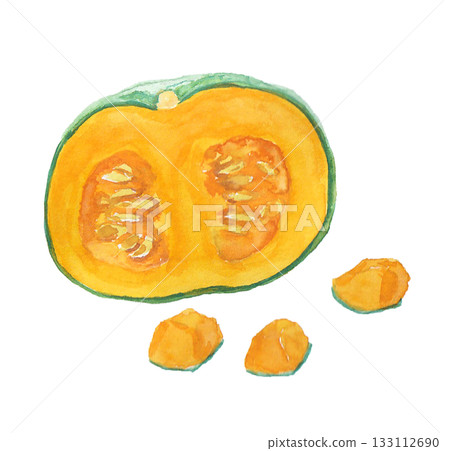 A realistic pumpkin illustration drawn with watercolors 133112690