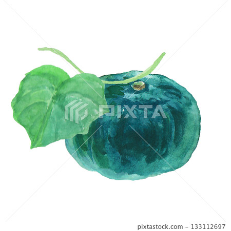 一幅用水彩繪製的逼真南瓜插畫 一幅用水彩繪製的逼真南瓜插畫 133112697