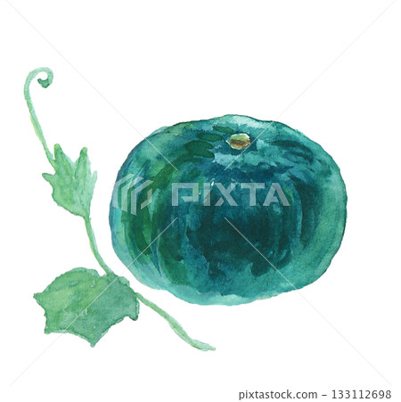 一幅用水彩繪製的逼真南瓜插畫 一幅用水彩繪製的逼真南瓜插畫 133112698