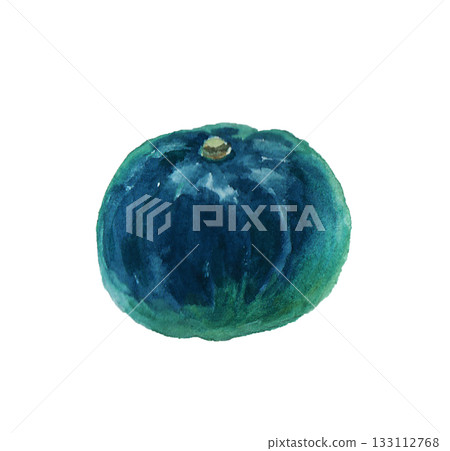 一幅用水彩繪製的逼真南瓜插畫 133112768
