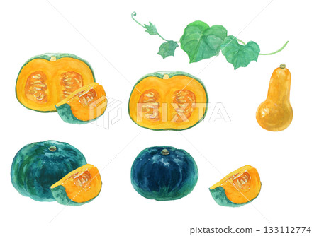 一組用水彩繪製的逼真南瓜插圖 一組用水彩繪製的逼真南瓜插圖 133112774