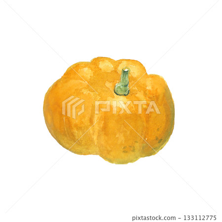 一幅用水彩繪製的逼真黃色南瓜插圖 一幅用水彩繪製的逼真黃色南瓜插圖 133112775