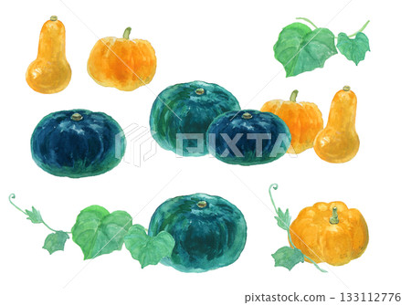 一組用水彩繪製的逼真南瓜插圖 一組用水彩繪製的逼真南瓜插圖 133112776