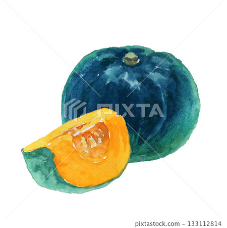一幅用水彩繪製的逼真南瓜插畫 133112814