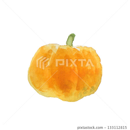 一幅用水彩繪製的逼真黃色南瓜插圖 一幅用水彩繪製的逼真黃色南瓜插圖 133112815