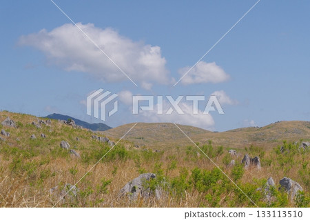 Akiyoshidai with dead grass in the spring of 2025 133113510