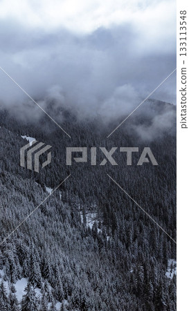 Snowy Forested Mountains in Winter Fog 133113548