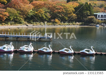 阿什湖上漂浮著天鵝船。 133113565