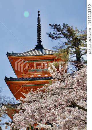 櫻花環繞的五層寶塔 櫻花環繞的五層寶塔 133113580