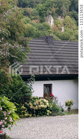 Charming Countryside Cottage with Flower Garden Charming Countryside Cottage with Flower Garden 133113658