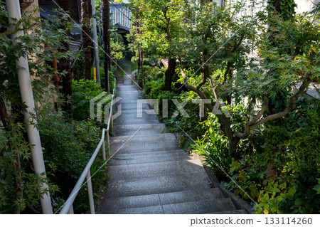 [港區高輪] 一座擁有長長下坡的寺廟 133114260