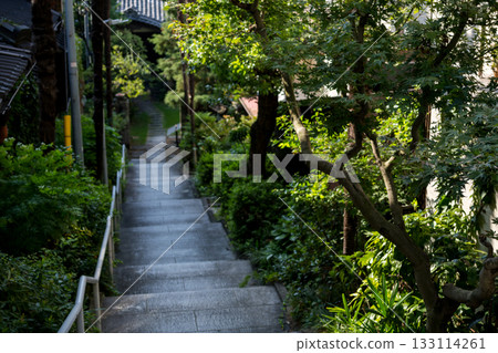 [港區高輪] 一座擁有長長下坡的寺廟 133114261
