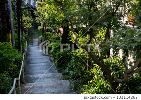 [港區高輪] 一座擁有長長下坡的寺廟 133114262