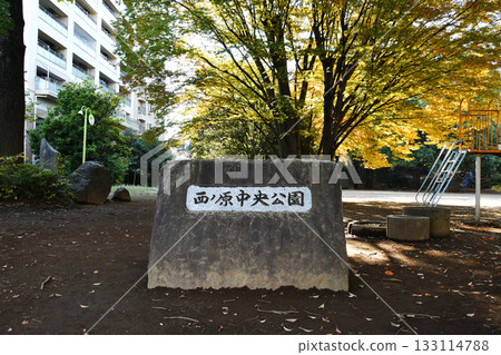 Nishinohara Central Park_25 133114788