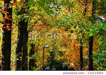 Mitsuhashi Park Avenue_02 133114805