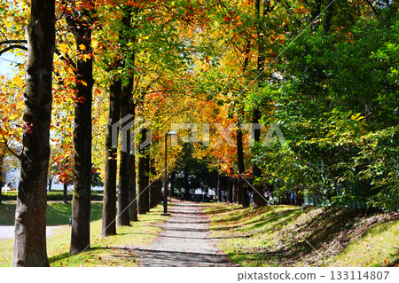 三橋公園大道_03 三橋公園大道_03 133114807