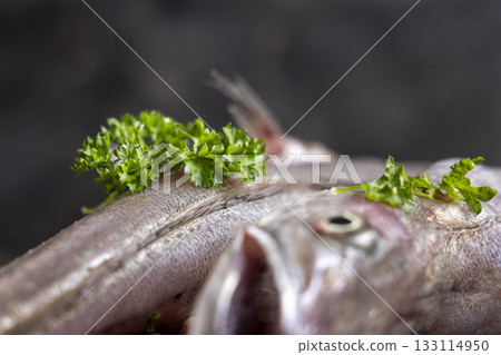 Fresh European hake fish on wooden board with parsley, Raw uncooked Merluccius merluccius close-up 133114950