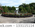 English rose garden 133115114