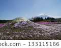 Mount Fuji  133115166