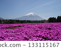 Shiba Fuji Mt. Fuji 133115167