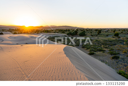 The St. Anthony Sand Dunes in Idaho are lit by a vibrant golden sunset. The warm light creates deep shadows and highlights the ripples in the sand. Represents a vast, peaceful desert landscape The St. Anthony Sand Dunes in Idaho are lit by a vibrant golden sunset. The warm light creates deep shadows and highlights the ripples in the sand. Represents a vast, peaceful desert landscape 133115200