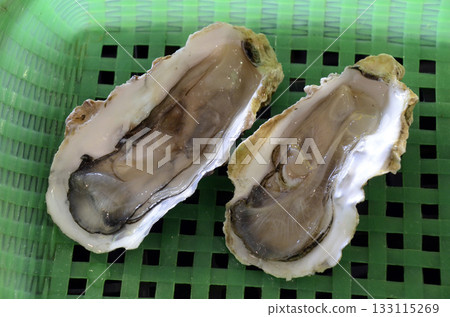 Raw oysters Raw oysters 133115269