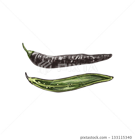 Whole and half pepper chilaca . Vector vintage hatching color illustration. Whole and half pepper chilaca . Vector vintage hatching color illustration. 133115340