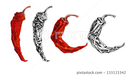 Whole dry pepper chilli. Vintage hatching illustration. Whole dry pepper chilli. Vintage hatching illustration. 133115342