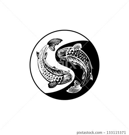 Two koi carps. Yin yang symbol. Vintage engraving monochrome illustration. Isolated on white Two koi carps. Yin yang symbol. Vintage engraving monochrome illustration. Isolated on white 133115371
