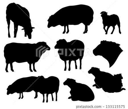 sheep flock black and white vector silhouette outline set 133115575