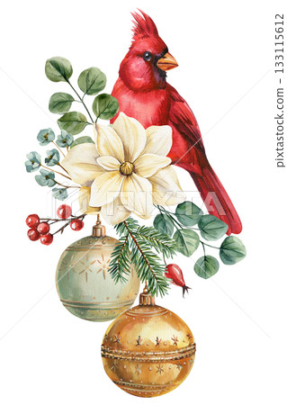 Red cardinal with cream flower eucalyptus leaves pine branches berries and gold ornaments festive botanical illustration Red cardinal with cream flower eucalyptus leaves pine branches berries and gold ornaments festive botanical illustration 133115612