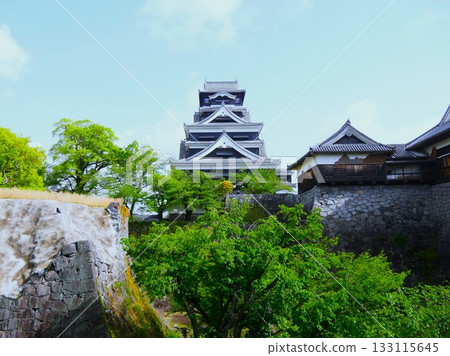 Kumamoto Castle's towering keep stands atop the stone walls Kumamoto Castle's towering keep stands atop the stone walls 133115645