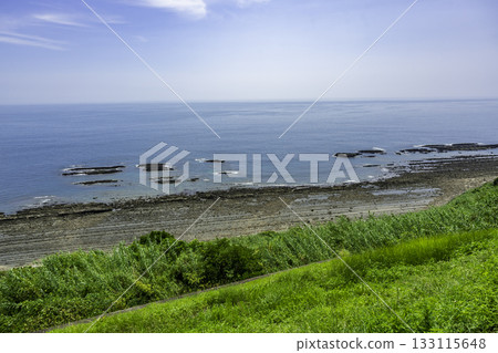 Miyazaki Nichinan Coast, Oni no Sentakuita (Devil's Washboard), Miyazaki City, Miyazaki Prefecture 133115648