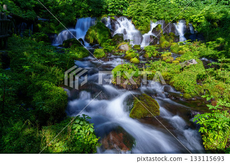 吹出公園的清澈溪流和長滿青苔的岩石（北海道京極町） 133115693