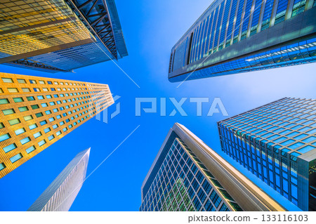 View of Tokyo cityscape in Japan, including the skyscrapers of Shiodome. May the new era be a wonderful one...to the future 133116103