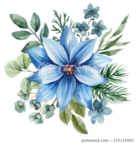 Blue poinsettia flower with green leaves winter botanical floral arrangement Watercolor illustration for holiday seasonal design Blue poinsettia flower with green leaves winter botanical floral arrangement Watercolor illustration for holiday seasonal design 133116985