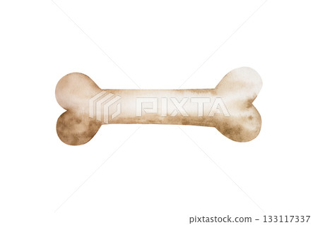 Watercolor hand drawn prehistoric dinosaur or dog bone, animal. Isolated illustration on transparent background. Perfect for Pet Product Designs, projects. For designers, invitations, decoration 133117337