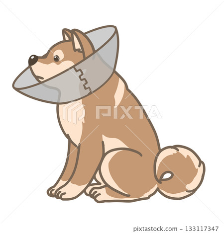 A simple illustration of a Shiba Inu sitting with an Elizabethan collar 133117347