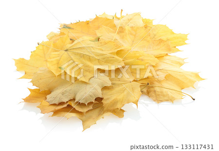 Pile of yellowed autumn leaves isolated on transparent background. Fall foliage, perfect for seasonal design, nature concepts, and decorative projects 133117431