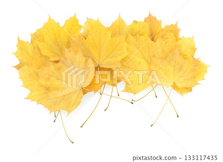 Pile of yellowed autumn leaves isolated on transparent background. Fall foliage, perfect for seasonal design, nature concepts, and decorative projects 133117435